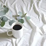 Ginseng: cos’è, i suoi benefici e le controindicazioni